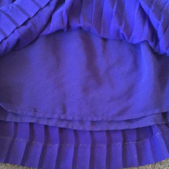 Banana Republic royal blue pleated skirt - Picture 3 of 3